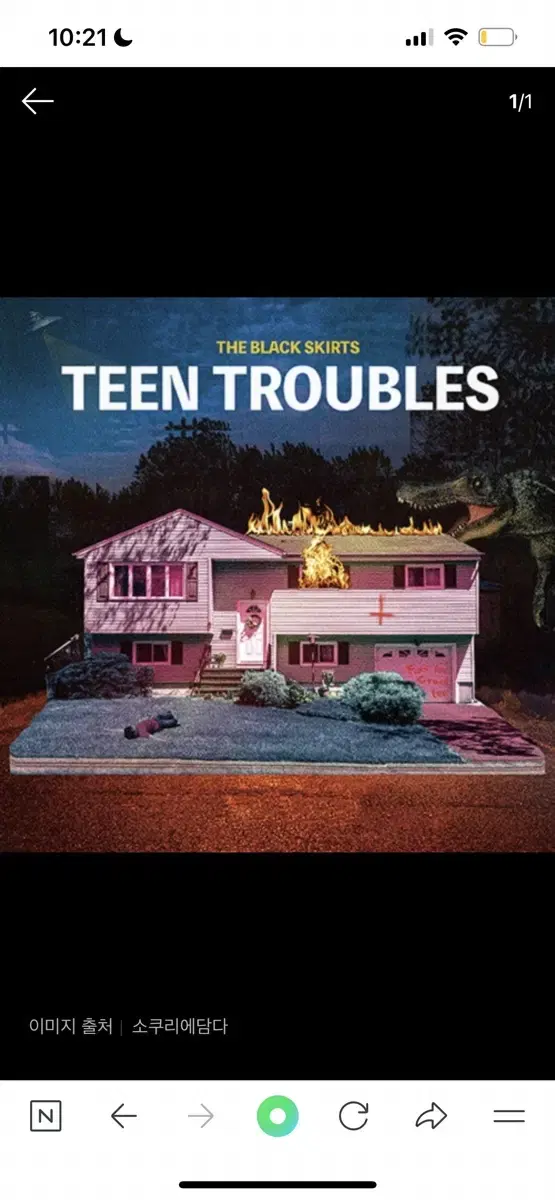 검정치마 teen troubles lp 새상품